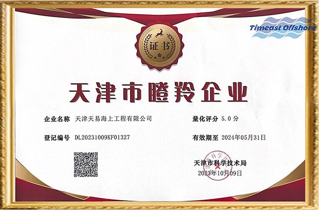 喜報丨444444国产海工榮獲“天（tiān）津市創新型中小企（qǐ）業”和“天（tiān）津市瞪羚企業”雙重（chóng）認定